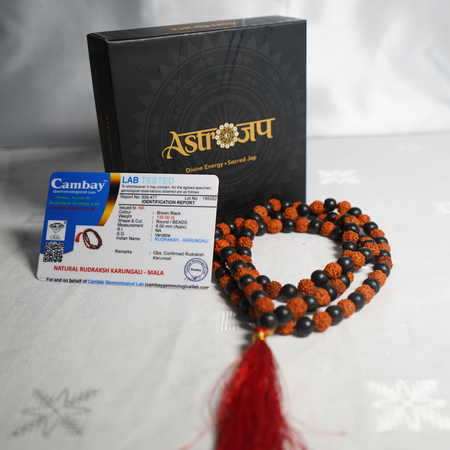 Divya Raksha Rudraksha & Karungali Mala