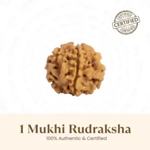 Nepal Origin 1 Mukhi Rudraksha - 18mm